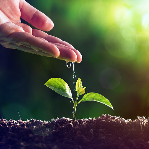 UppyApp's tweet photo. You gotta nourish to flourish 🌱💧 #YouFirst https://t.co/gLILac34YB