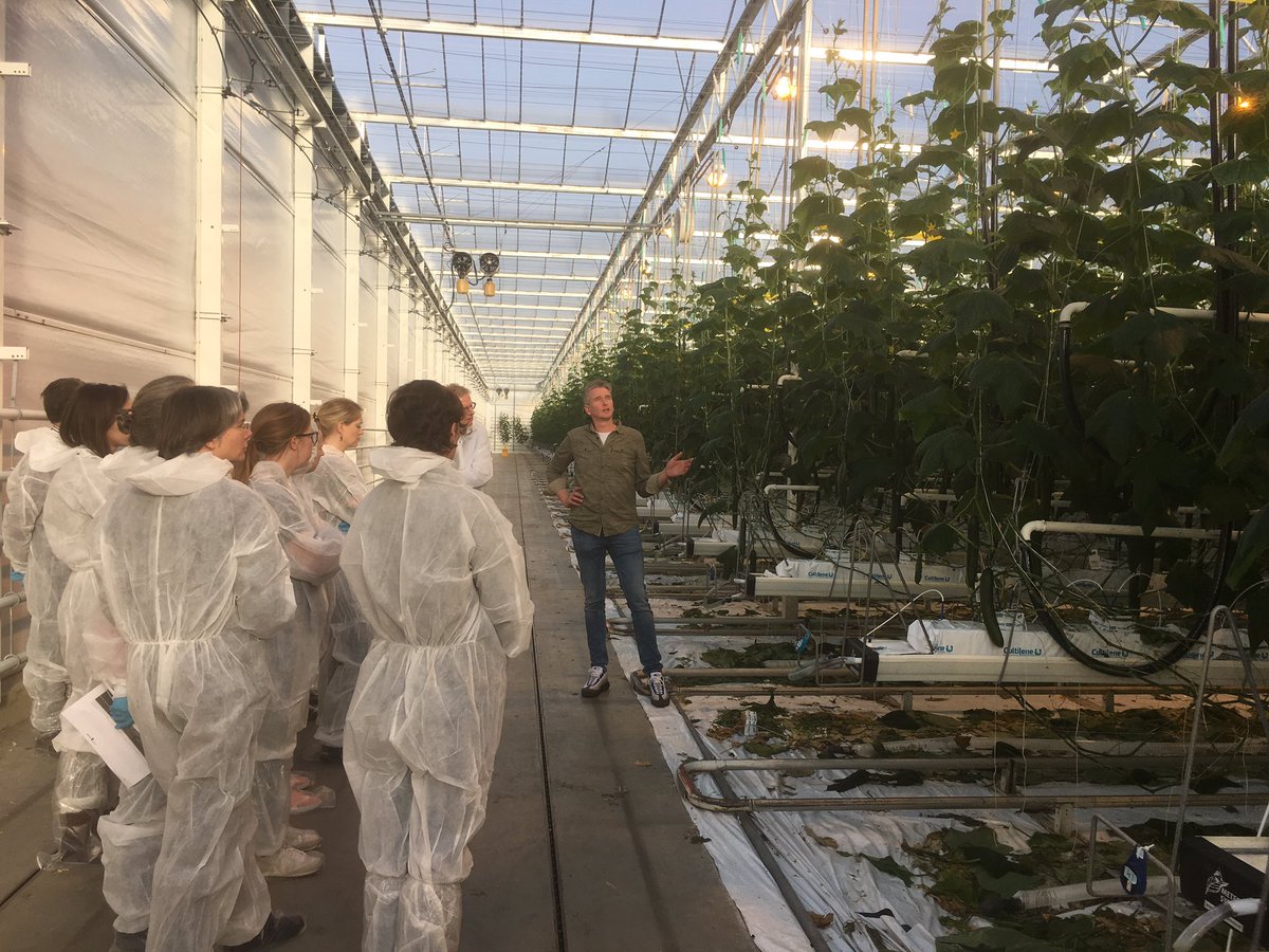 HelmaVerberkt's tweet photo. #marcozuidgeest legt IPM ofwel Integrated Pest Management uit in komkommer aan EU inspecteurs. Door inzet biologische bestrijders @BiobestNL en wekelijks bijvoeren met pollen en voedermijten bouwt hij ecosysteem. Voor correctie integreerbare middelen nodig. @GlastuinbouwNL @_NVWA https://t.co/tKx36UCkbu