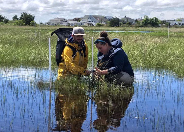 #Wetlands provide us with so many benefits, like filtering out contaminants and pollutants. Show some
love to your local wetlands! #iheartestuaries