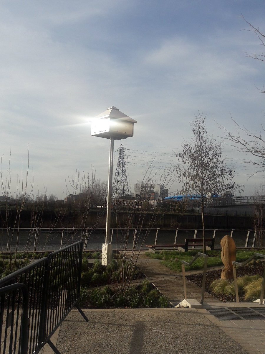 LCIconstruct's tweet image. London City Island's very own bird house.# we don't just create houses for people#we are Ballymore!!!