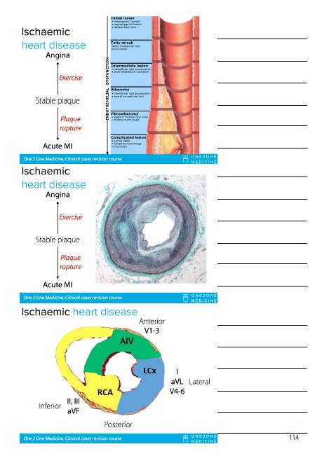 One 2 One Medicine tweet media