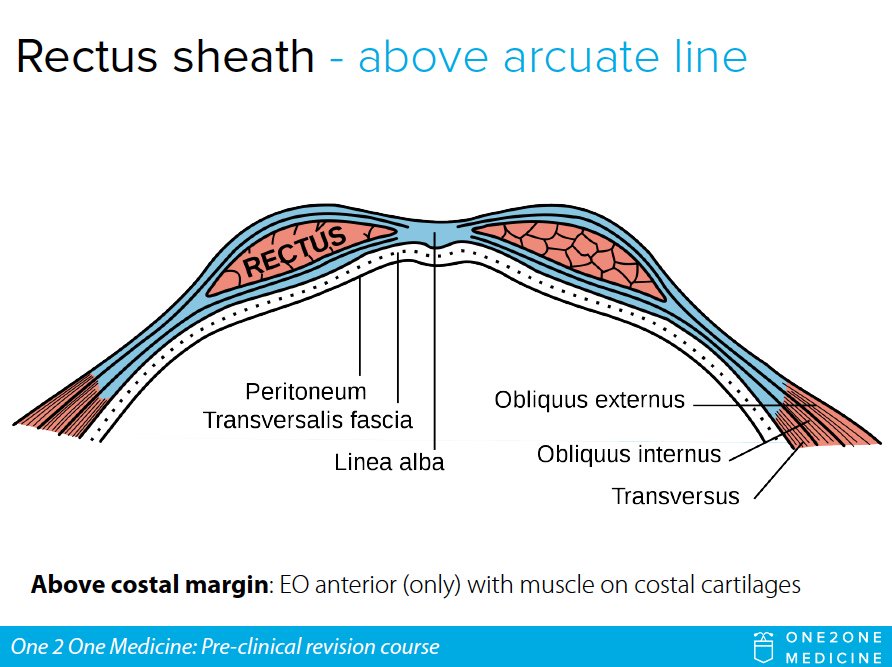 One 2 One Medicine tweet media