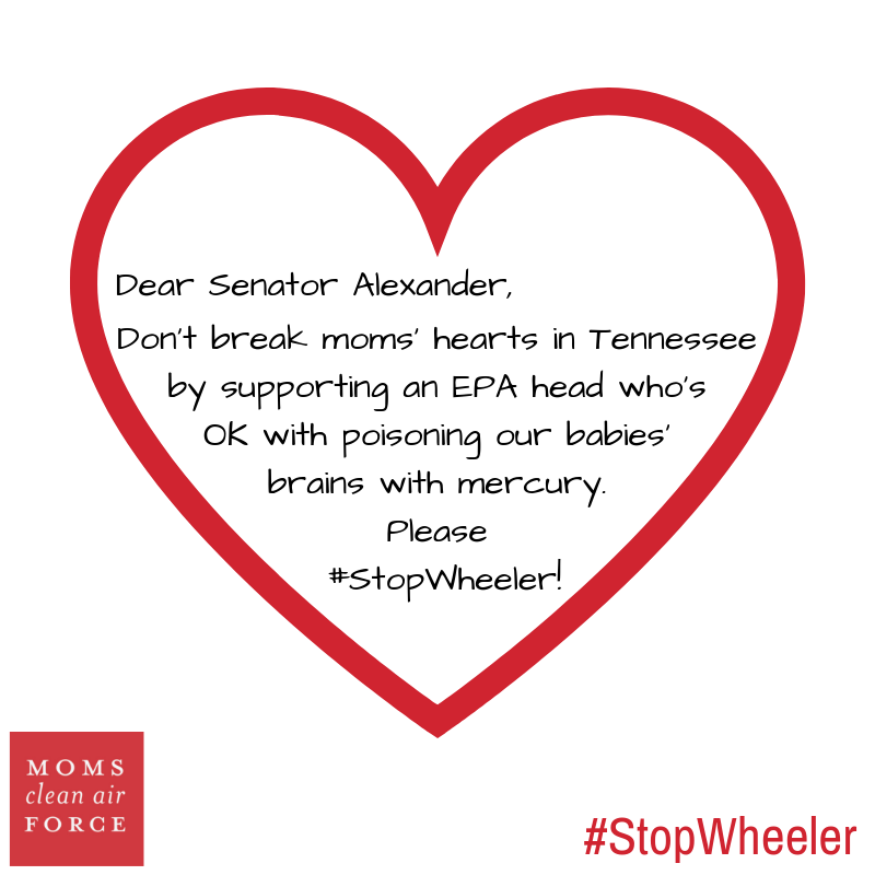 CleanAirMoms's tweet photo. Dear @SenAlexander, Moms LOVE clean air and our kids. @EPAAWheeler's actions at EPA so far have proven that we can't count on him to protect either. Don’t break Moms' hearts, please #StopWheeler! 

➡ https://t.co/0CxbVdw7wA https://t.co/DluajmtbZU
