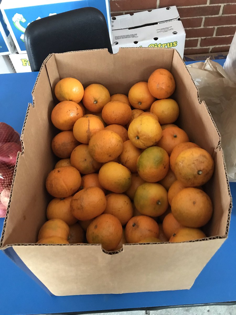 Live.Life.Healthy tweet media