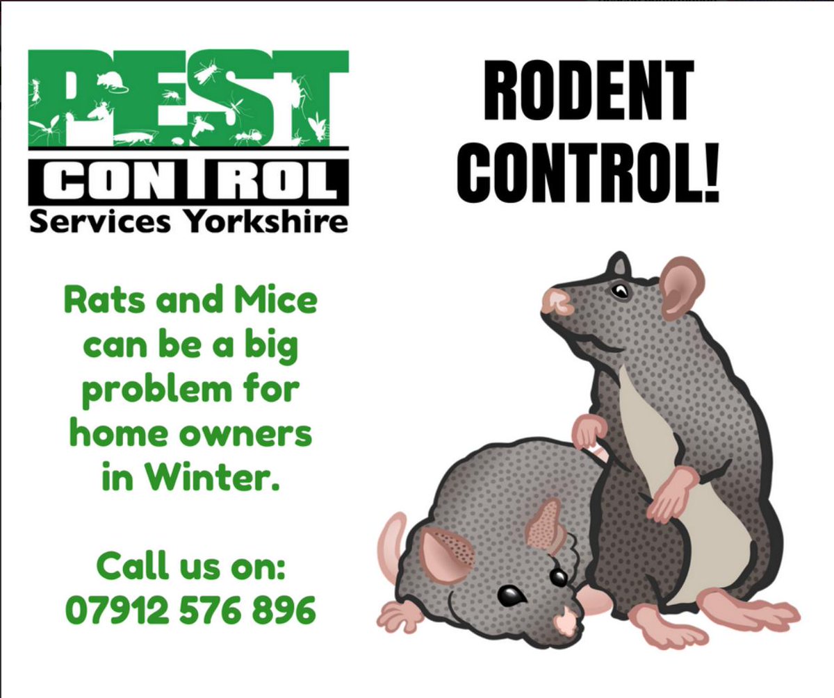 PestControlMike's tweet image. Yikes!! If #mice enter your home in winter, they very rarely venture out again. Make sure all cracks and holes are sealed and if you think you've got an infestation get in touch! Email me at: michael@pestcontrolservicesyorkshire.co.uk
#PestControl #Rodents #Leeds #Ilkley #Otley