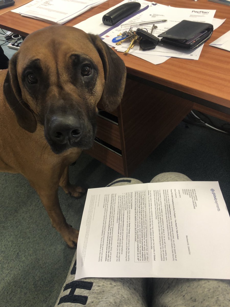 FedCapLimited's tweet image. New compliance officer running the rule