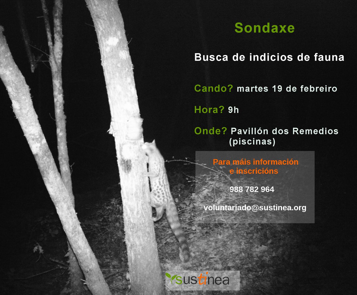 Sustinea convídate a coñecer a fauna existente na contorna periurbana da cidade.
Esta actividade é de balde con necesaria inscripción.
Agardámoste!!! 🦊🐾🐿
