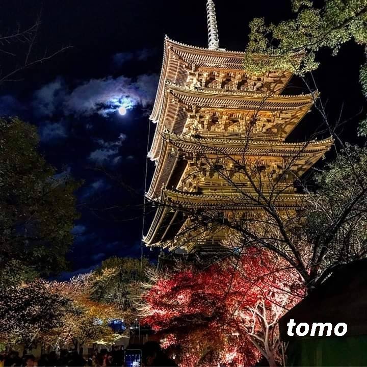 20060322TOMO's tweet photo. 🎀Good night   

         my dear friends 🎀💕 https://t.co/e4moD5DDHG