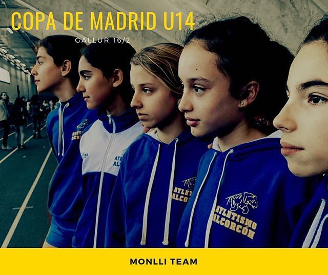 Monlli Team tweet media