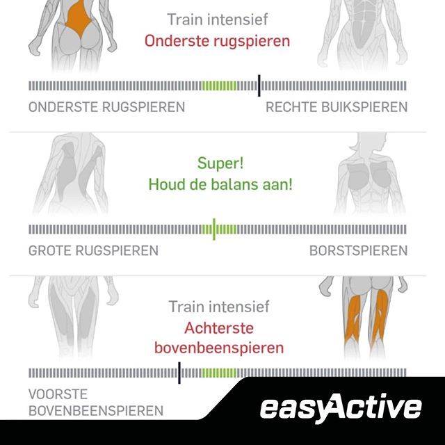 EasyActive6700's tweet photo. IN BALANS MET EGYM
Een goede balans is belangrijk voor een gezond en vitaal leven: een verantwoorde verdeling tussen werk en privé, voldoende gezonde voeding en afwisseling tussen stilzitten en bewegen. Zo blijf je lichamelijk en geestelijk in conditie. … https://t.co/M7QJOWNkej https://t.co/ZBUfCEJHBT