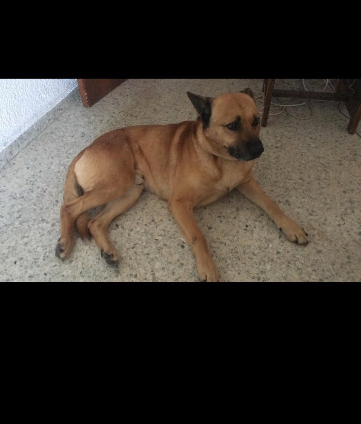 👣🐾Tamy (♥T‿E♥) Soy #TCAE🩺💕mami de dos🐶🐶 tweet media