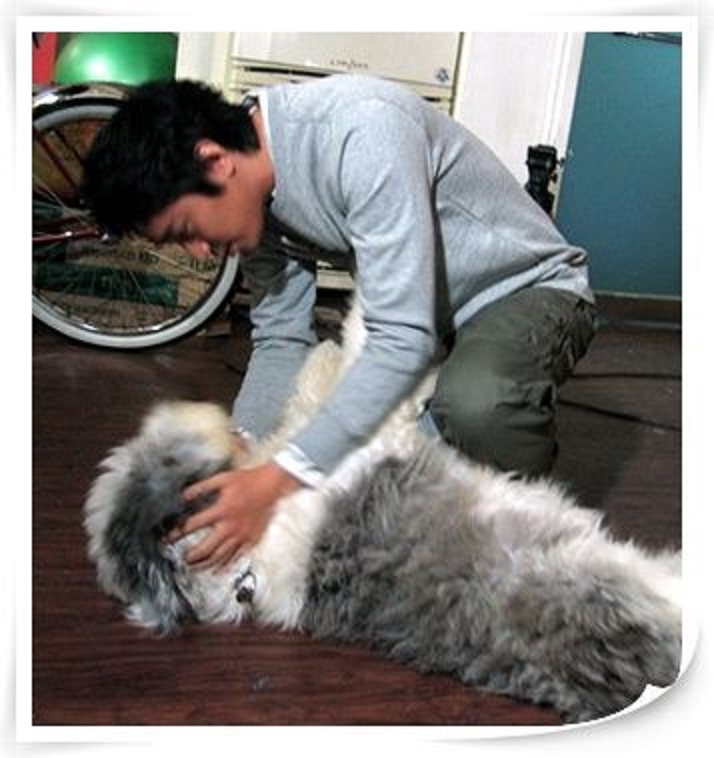 Phi_216's tweet photo. It's off theme but since the big puppies.... ππ
#Shinhwa #EricMun #Echef #μ ν #μλ¦ #λ¬Έμ ν https://t.co/fSbiJ8EYQJ