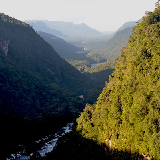 meet_the_globe's tweet photo. 🇬🇧 Enjoy #unforgettable #experiences in an #amazing #nature in Guyana!
🇩🇪  Genießen Sie #atemberaubende #Naturerlebnisse in #Guyana!
🇪🇸 ¡Disfrute #experiencias inolvidables en una #naturaleza asombrosa en Guyana!
#kaieteur #trekking #adventures #outdoortours #hiking #meettheglobe https://t.co/HQi2Ge8Q22