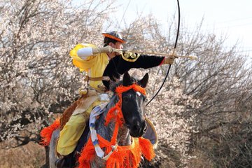 曽我梅林の梅まつりは富士山とお餅もよかった話 明日2月11日は流鏑馬もあります さくさくの日常