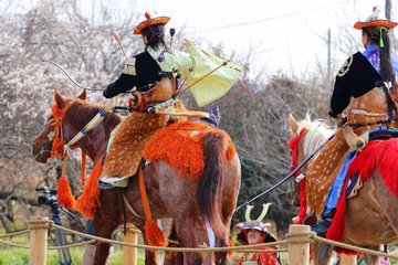 曽我梅林の梅まつりは富士山とお餅もよかった話 明日2月11日は流鏑馬もあります さくさくの日常