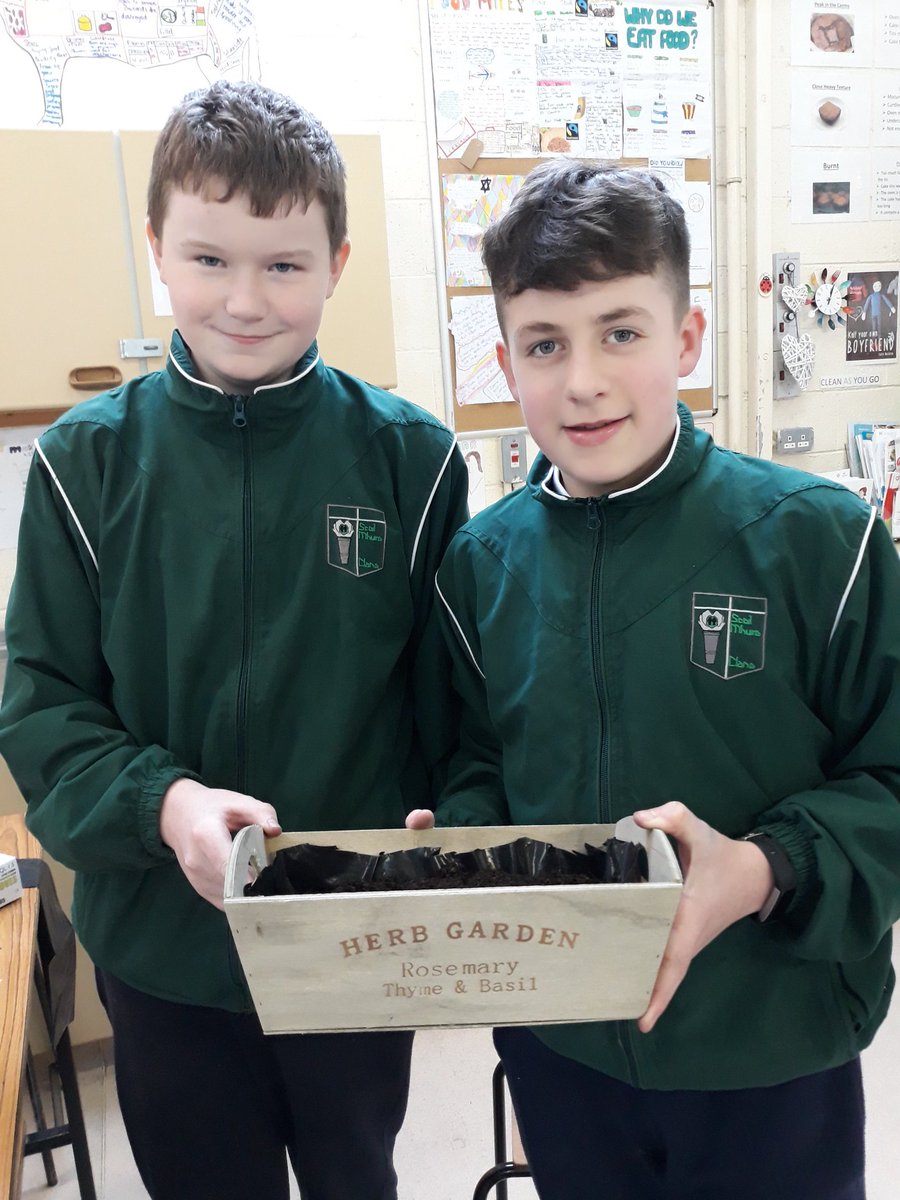 Ruairi and Oisin reducing their food miles by growing their own herbs in Home Economics.