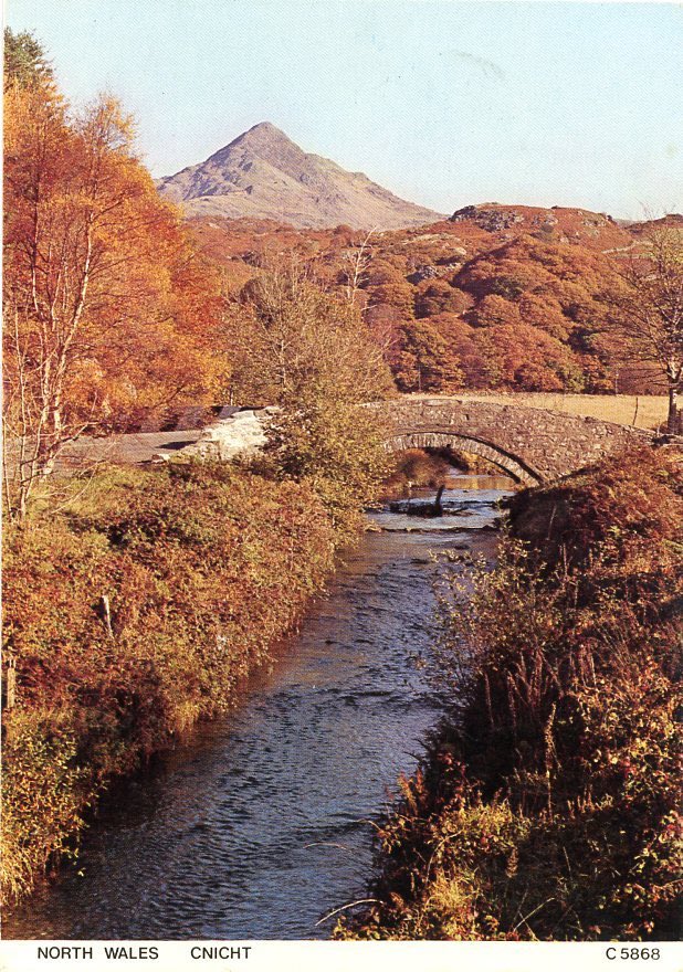 PostcardFromThePast tweet media