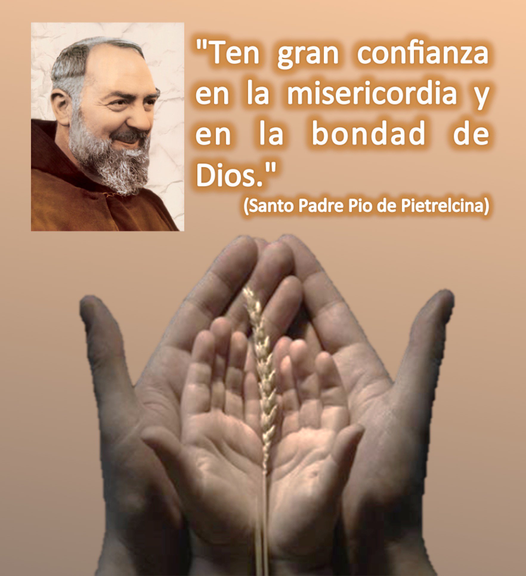 Total 76+ imagen san padre pio frases