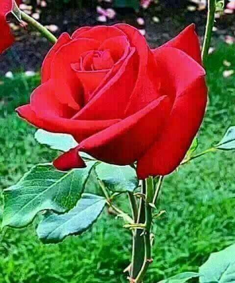 DaVarellah's tweet image. @radiomais@emmanuelmwashu@shugaboyke1 Show kubwa locked straight outer Naks Vegas kwa mpigoo,,sina hadi 50bob ya hii