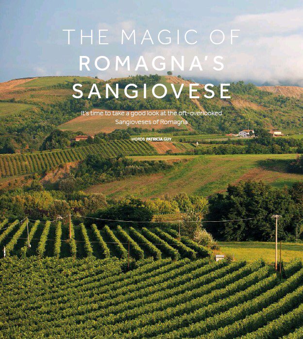 ilSangiovese's tweet photo. #SangioveseDR

DER Rote.

https://t.co/qvtIMx44kL https://t.co/glSsNEIs2n