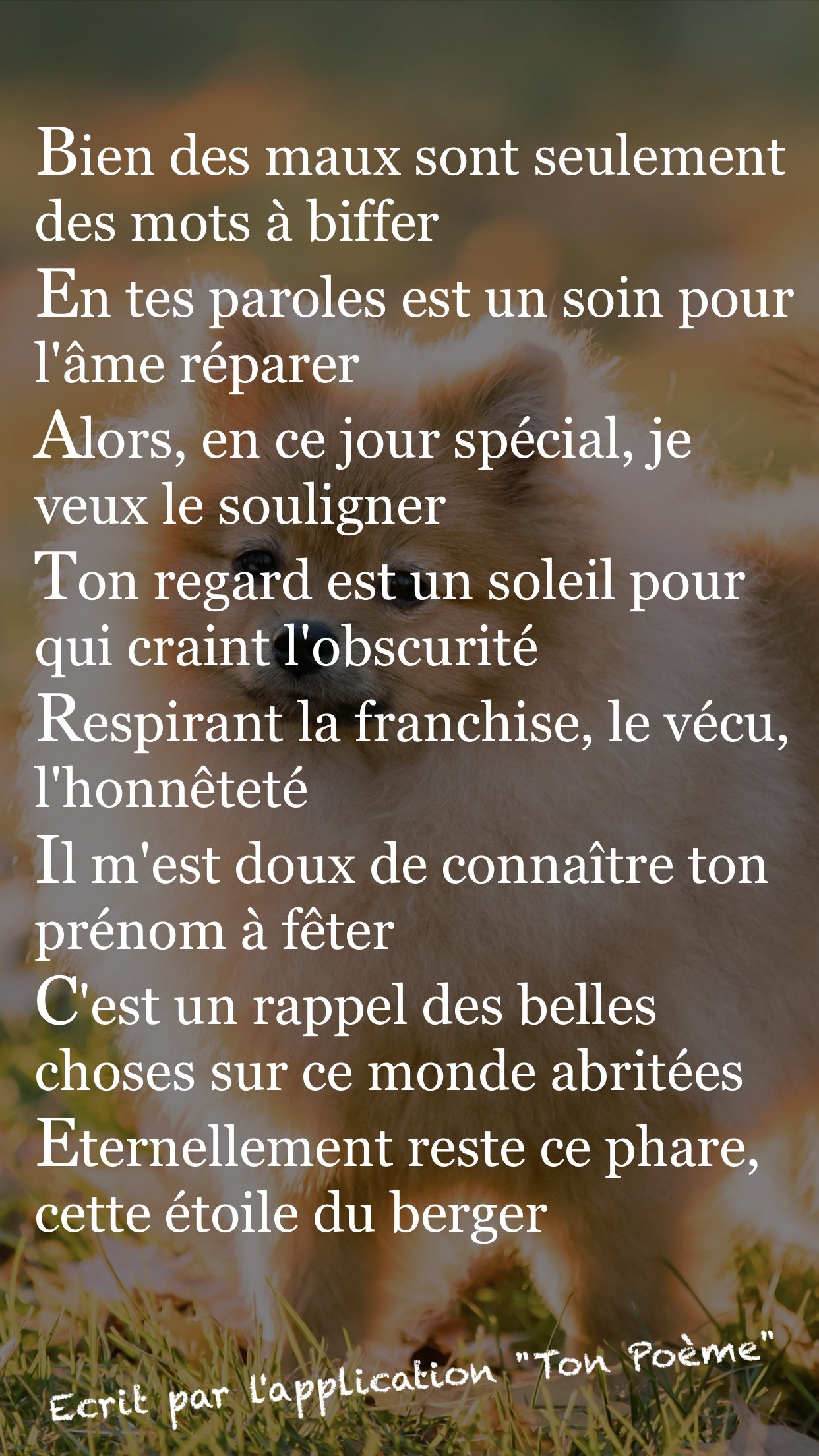 Application Ton Poeme Poemes Romance Twitter