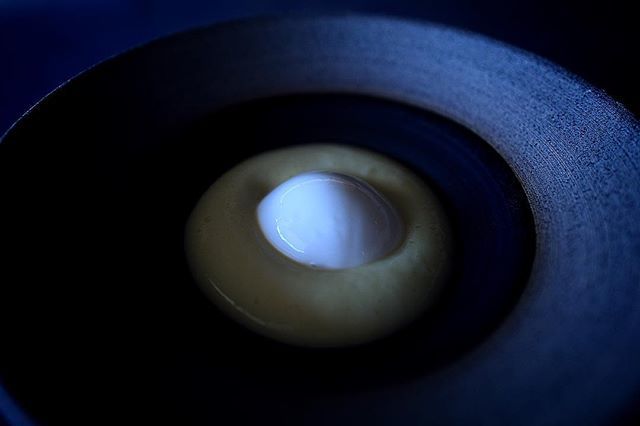 maaemo's tweet image. Raw milk, woodruff and blueberries 🥛 bit.ly/2SBbAGc