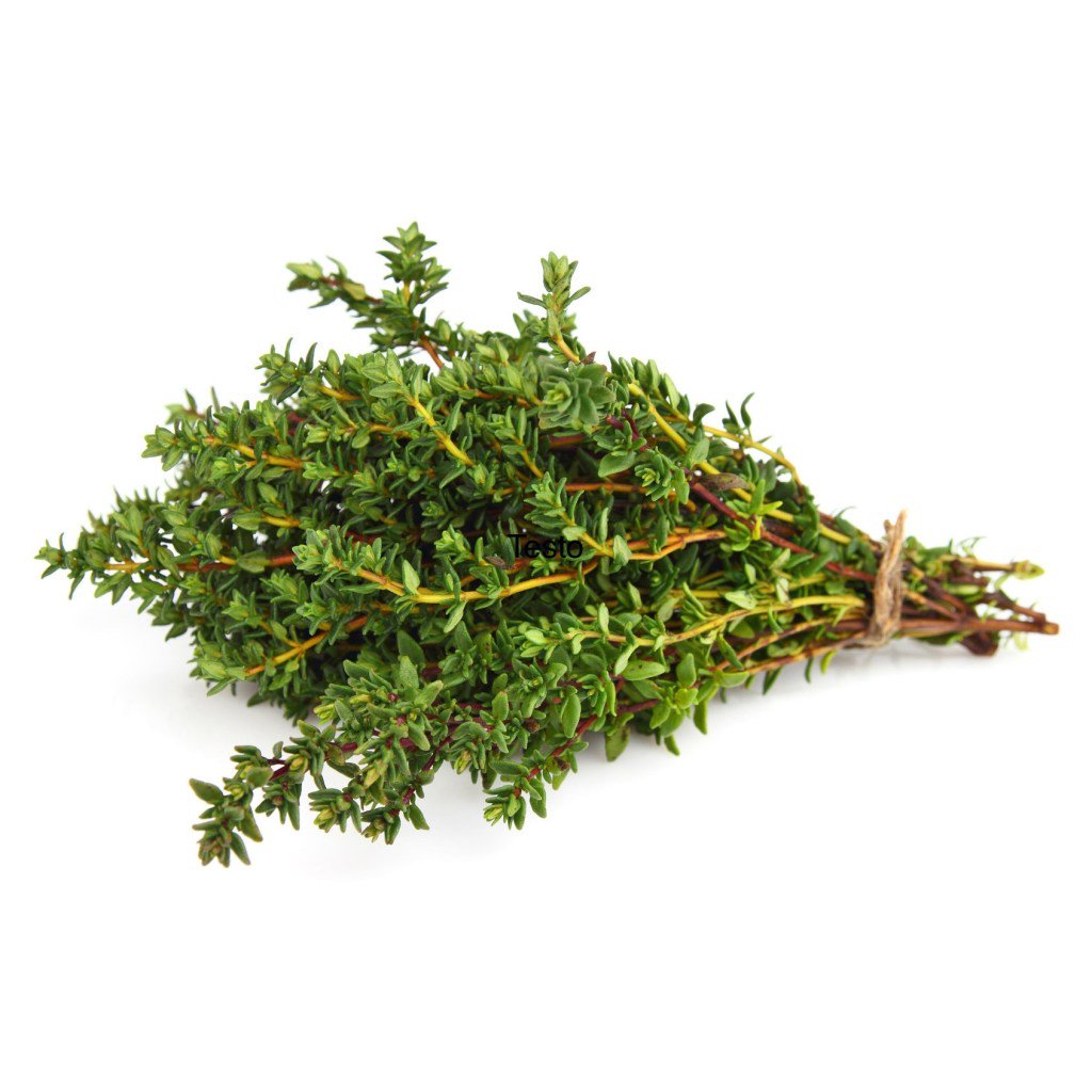 veggieefresh's tweet photo. Thyme https://t.co/E7XaChS1oO https://t.co/5kyJV1KYCn