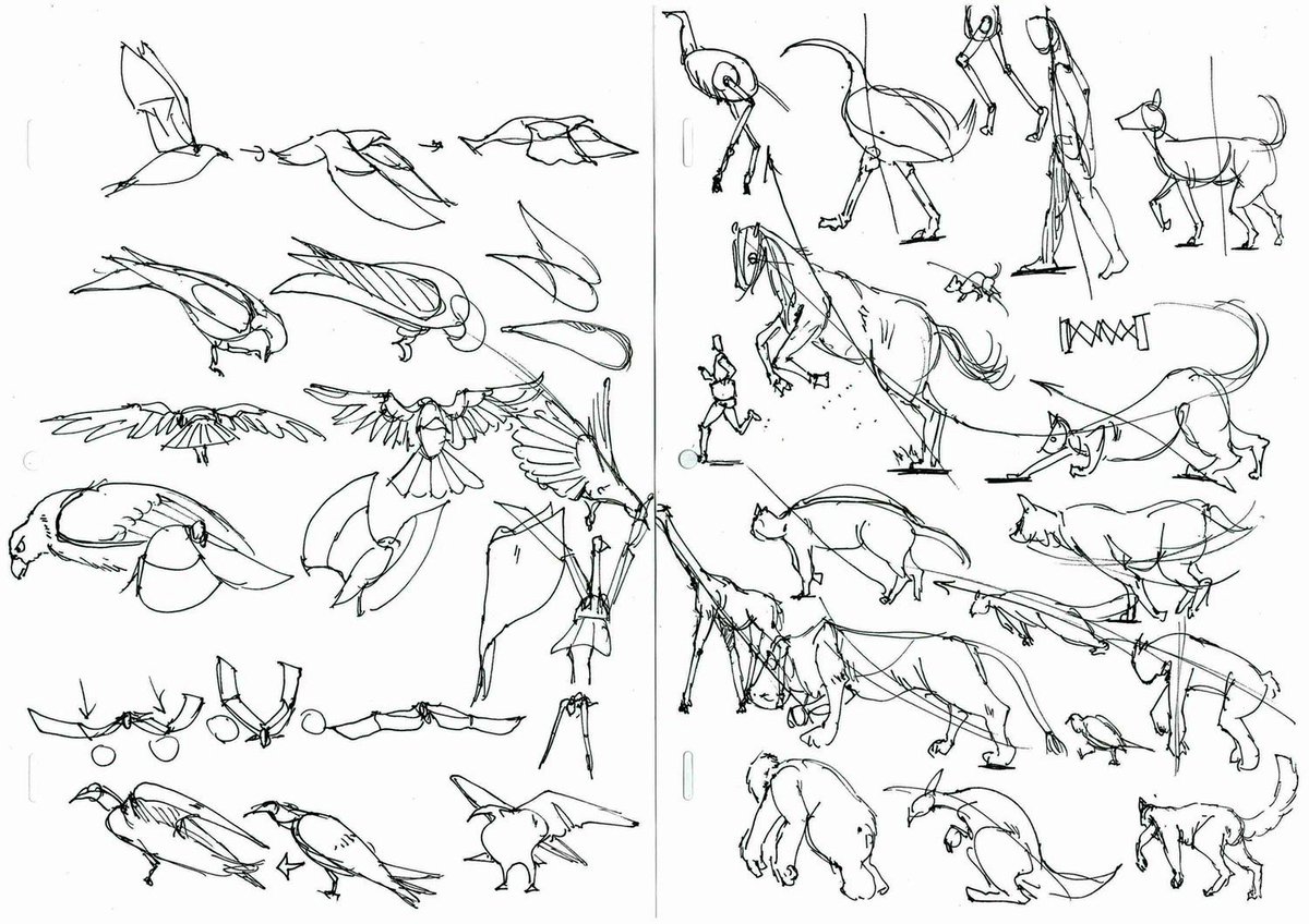 生き物を描く 