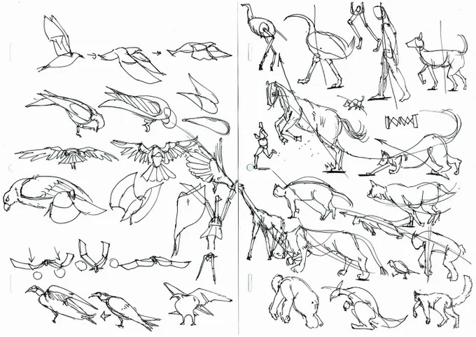 生き物を描く 