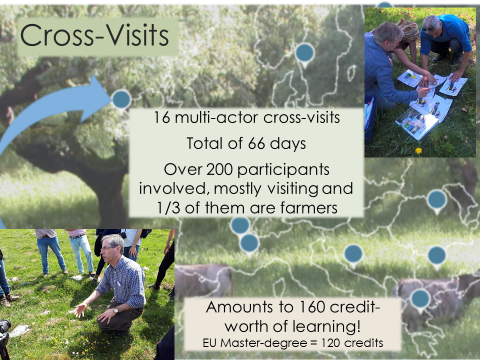 Last two months of the project and time to look back. Some of the efforts of the team are astounding! One can say, the team has achieved a MsC degree in "HNV farmland Innovator" through the learning done during the cross-visits :) #innovation #HNVfarming #peerlearning