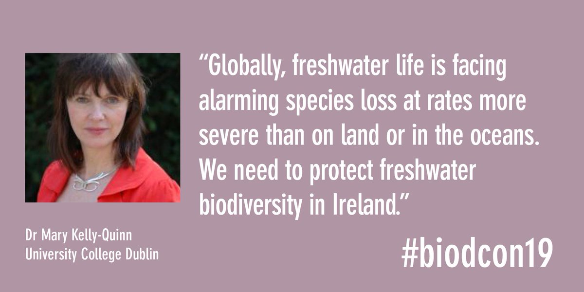 BiodCon_ie's tweet image. Biodiversity in our rivers, lakes and streams is being lost faster than that on land. What can we do about it? 

Can&apos;t wait to hear freshwater ecologist Dr Mary Kelly-Quinn from @UCDSBES lead a conversation on the solutions

@DeptAHG @NatCap_Irl @npwsBioData