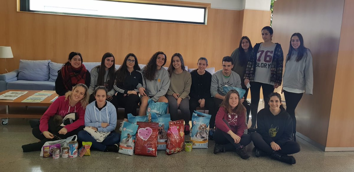 AbeiroRU's tweet photo. Continuamos con nuestro voluntariado en la @LuProt  y les hacemos llegar las donaciones que hemos recogido en la Residencia
 #abeiroru #protelugo #déjateadoptar #apadrina #acogidatemporal #usc #campusterra #Lugo https://t.co/5nQtAdZ81k