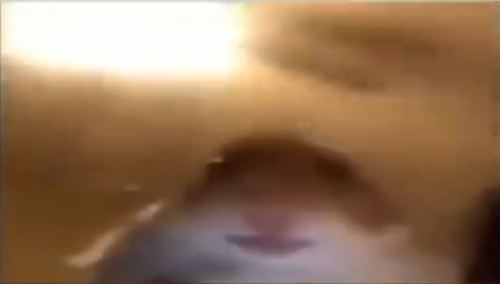 RichardFTP❁[0,1K] tweet media