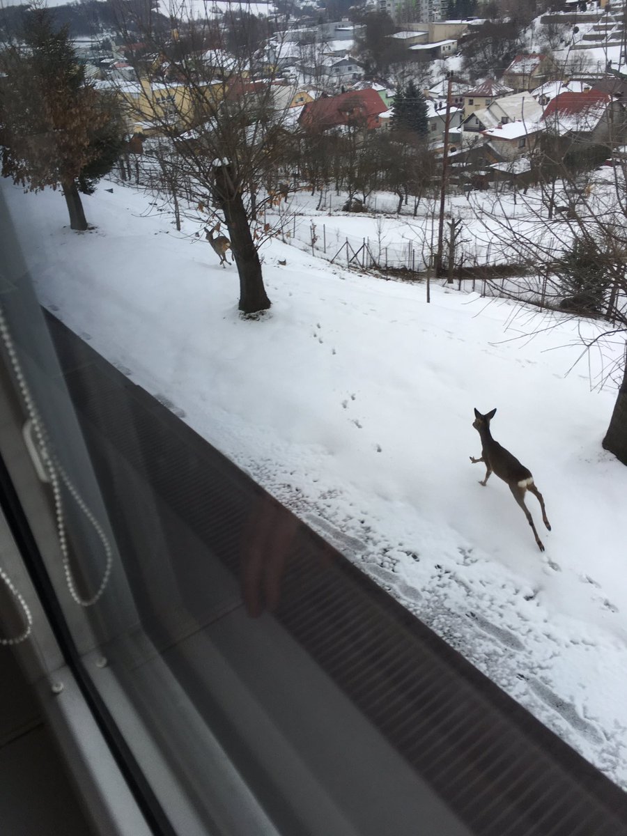 TimTax4's tweet photo. from school i saw this today. https://t.co/klfPNK9uNZ