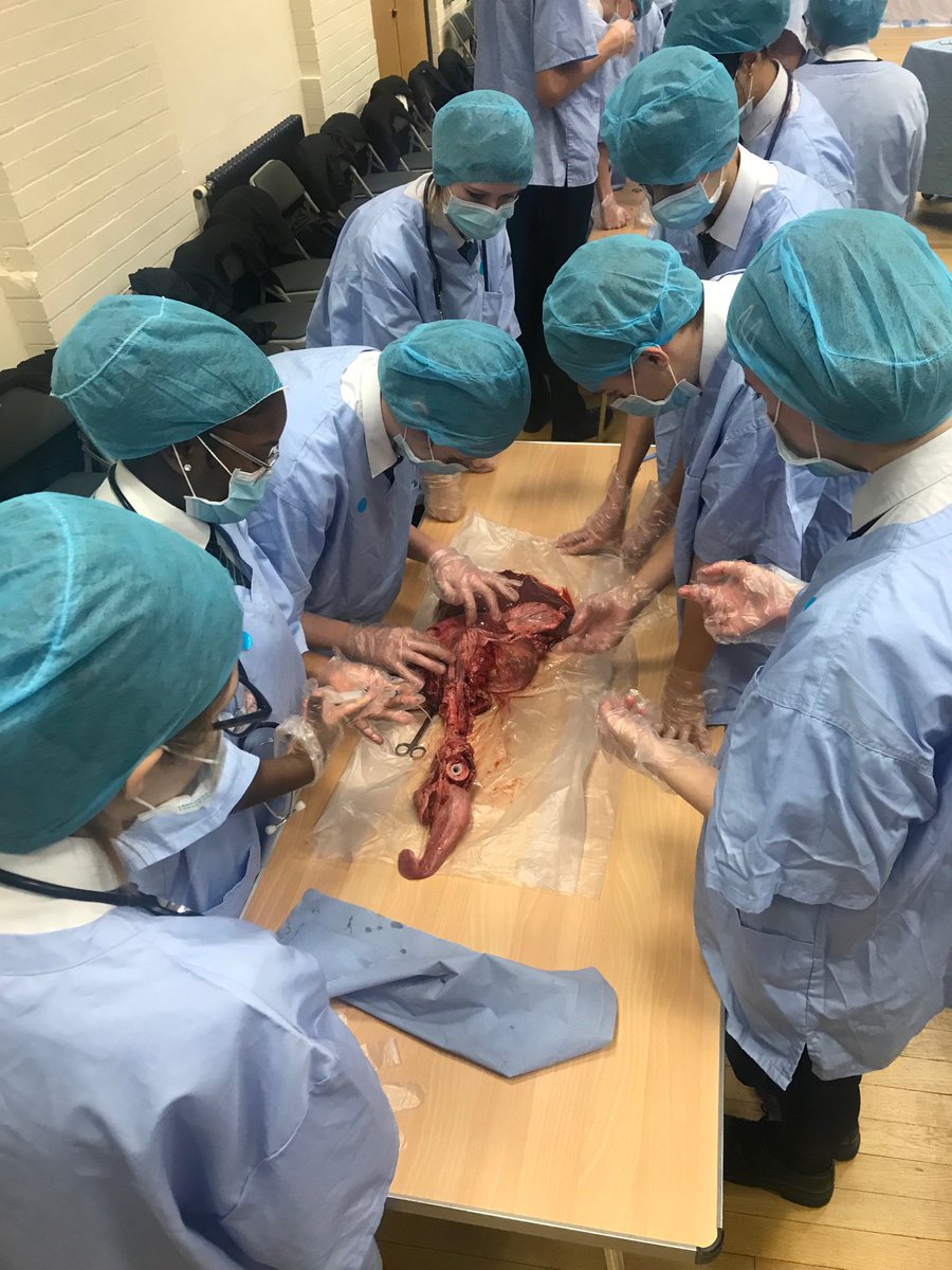 ARUP_DANIEL's tweet photo. #insideout Our @TakeYourPlaceHE students are getting right into it in the afternoon session. Trachea opened, intuvated the lungs to inflate and now we are dissecting the lungs to observe the bronchus. 😷😷😷 https://t.co/HuTYdVlPvf