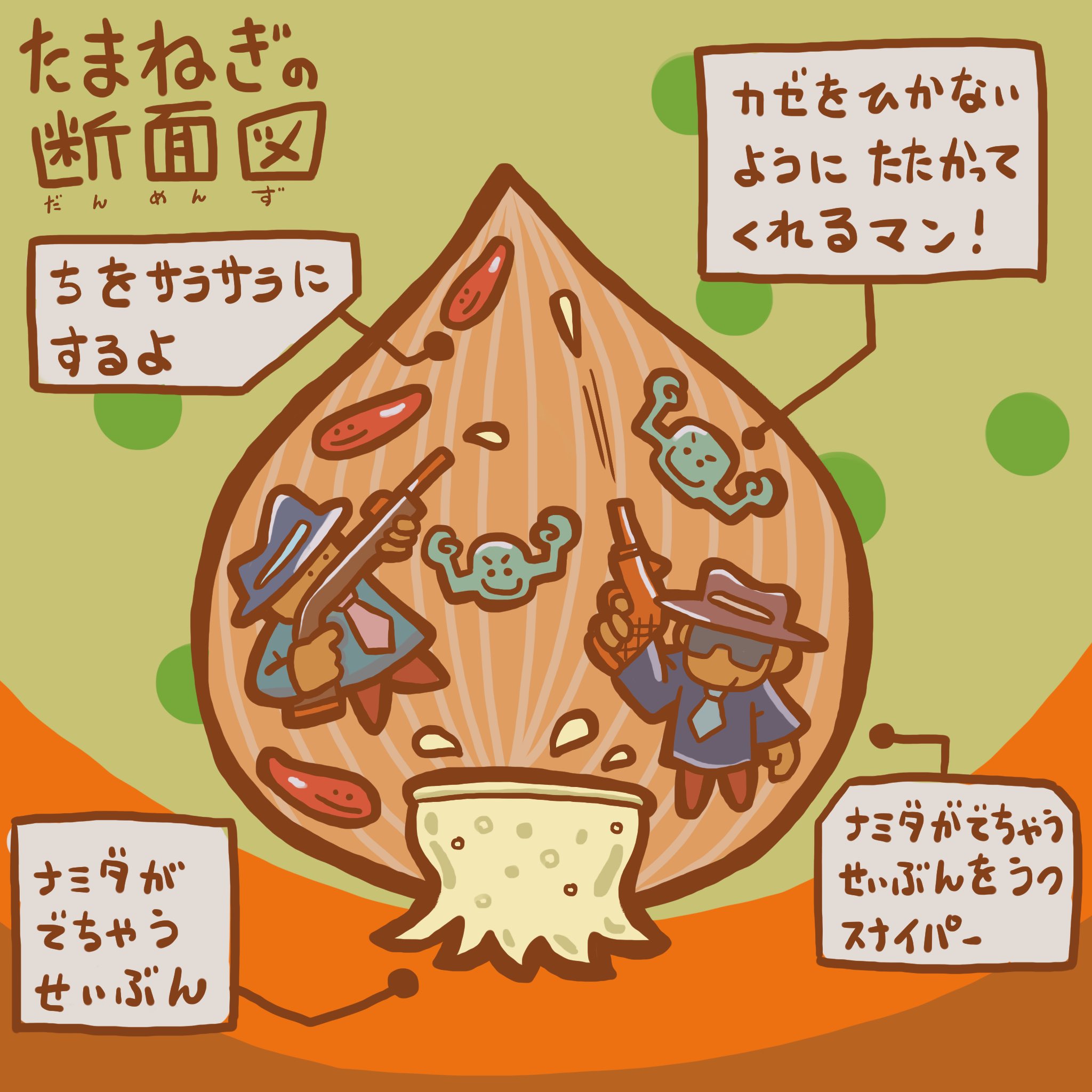 青木たつや 님의 트위터 頭の中の断面図 たまねぎを切ると涙が出ちゃう なんとそれはスナイパー達が君の目を狙っているからだった でも血液サラサラになるし美味しいよ 断面図 イラスト Illustration Illustrator Illust 青木展 絵本 本 育児