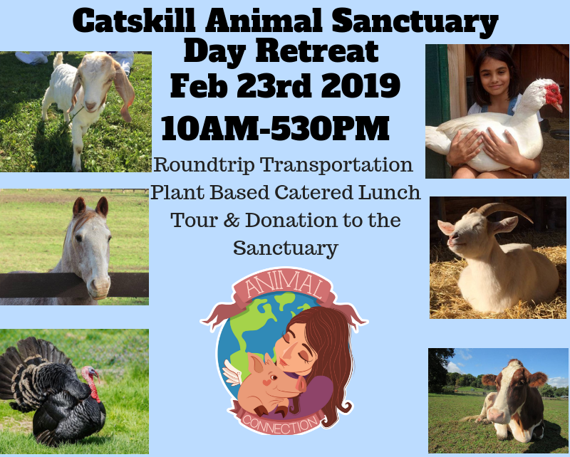 Animalconnect's tweet photo. Sanctuary spotlight and upcoming events!😍💫❤🌍🐐 - https://t.co/i2RRj9iOwC https://t.co/aqZtPDVdi1