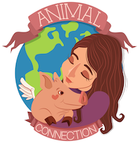 Animalconnect's tweet photo. Sanctuary spotlight and upcoming events!😍💫❤🌍🐐 - https://t.co/i2RRj9iOwC https://t.co/aqZtPDVdi1