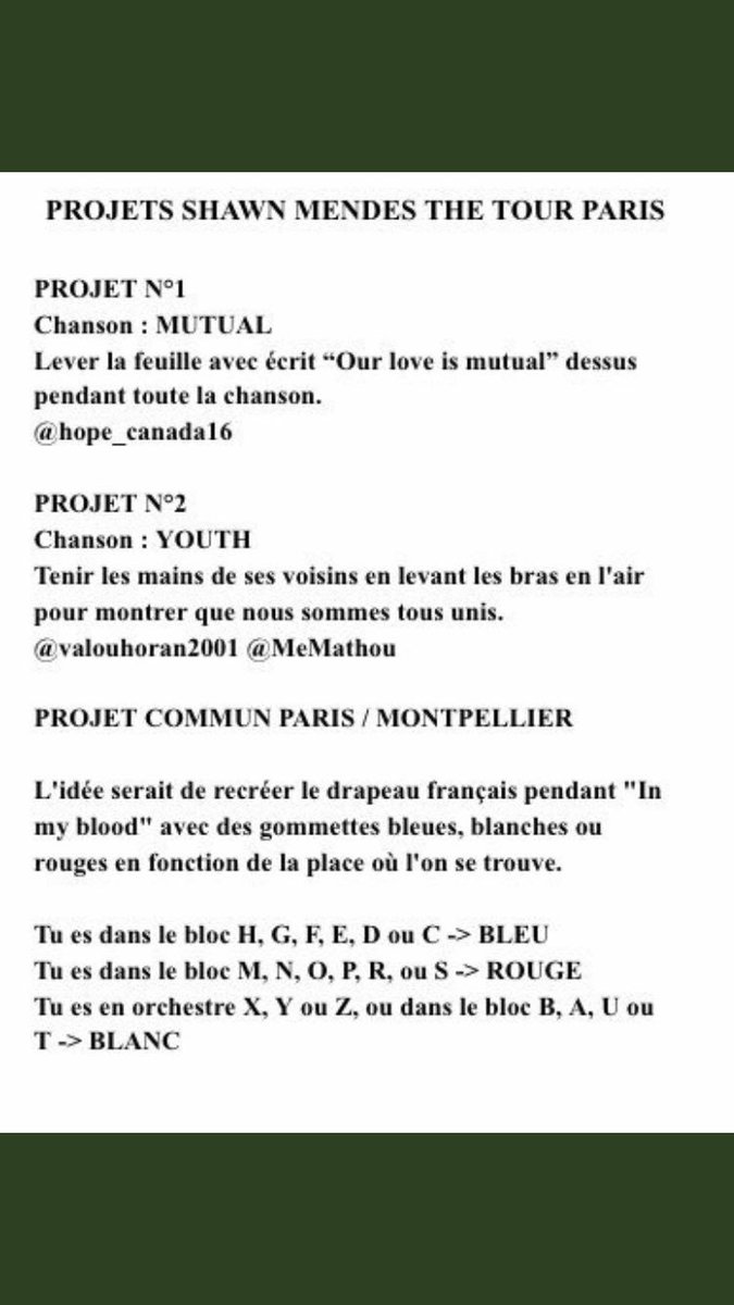 Shawnmendesparis