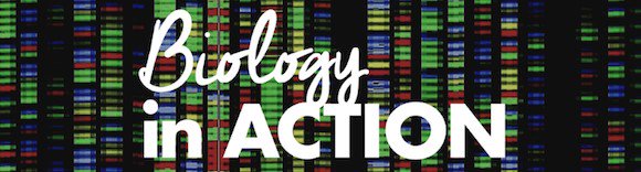 edu_in_action's tweet image. Join Head of Public Engagement @GenomicsEngland Dr @vivienneparry at #BiologyInAction on Mar 1st (London), who will be discussing the aims, promises &amp;amp; future of the 100,000 #GenomesProject, the largest sequencing project of its kind in the world.
Tickets bit.ly/2HjMW7G