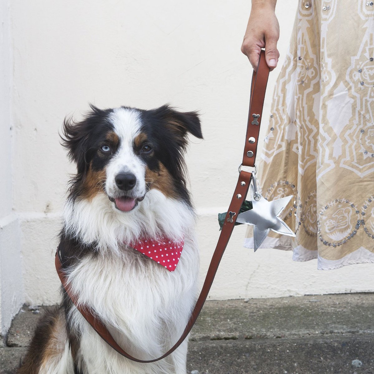 Pawfect_Friend's tweet photo. At last, a chic way to hold your poo bags! Dog Poo Bag Pouches at https://t.co/N3RSXNp0WD #Dog #dogsoftwitter https://t.co/RjX80Jy9Dj