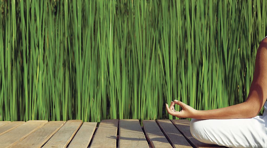 Regent Hotels & Resorts tweet media