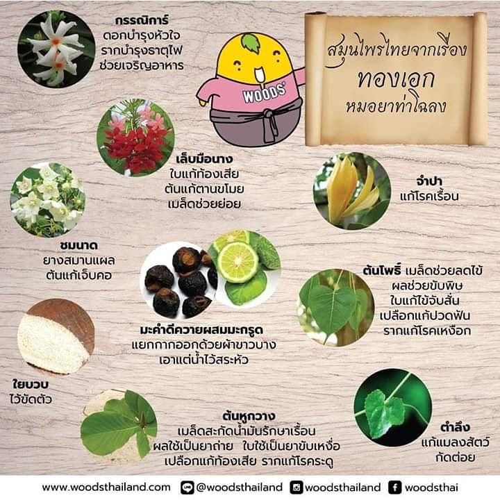 woodsthailand on Twitter: Woodsthailand On Twitter: