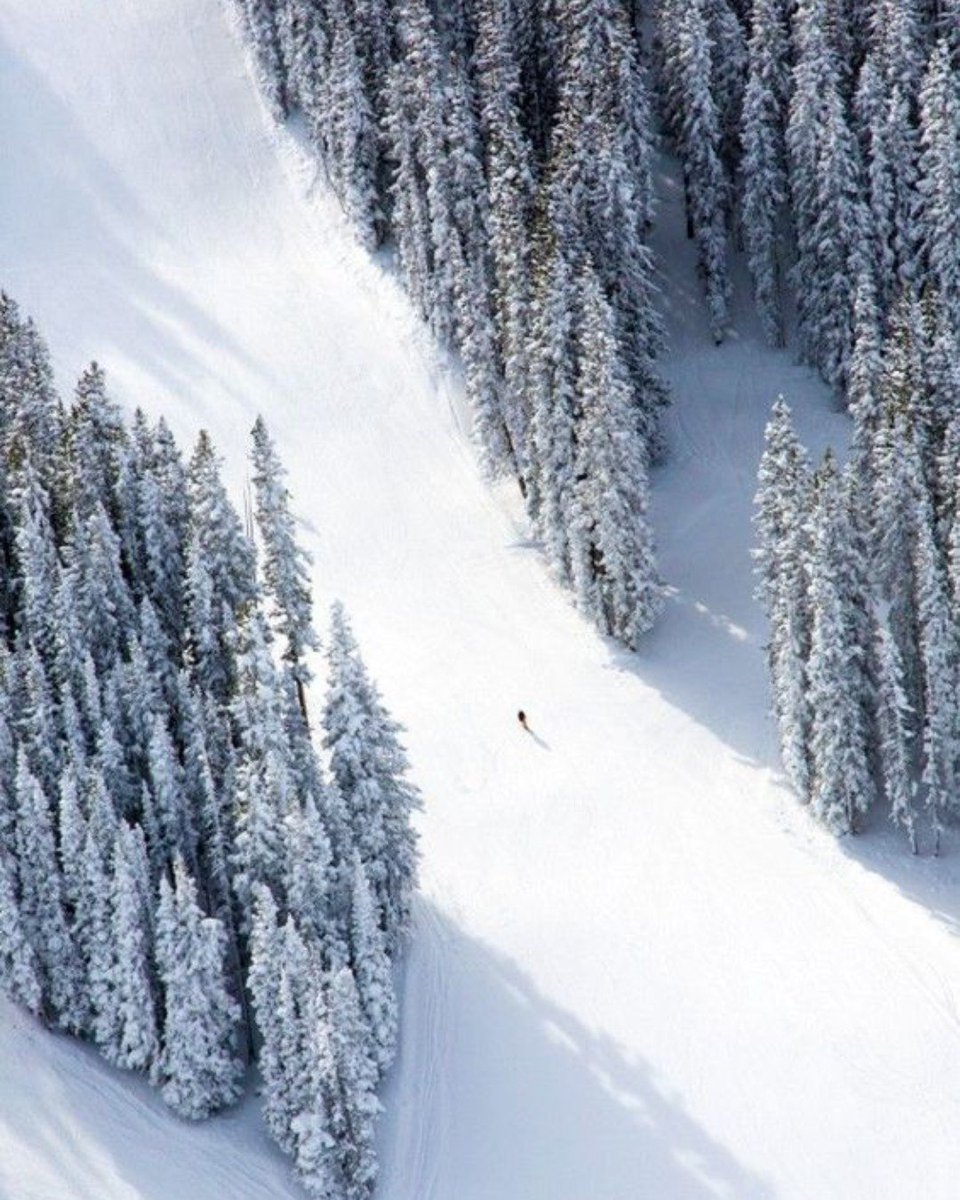 Fin Fact: SPF is just as important in the winter as it is in the summer! UV rays are strong the whole year round. Places like your lips, nose, ears, and face should always be protected. SPF is always necessary!