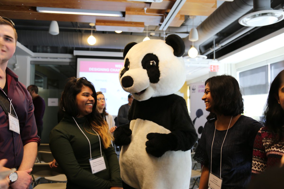 rsustainability's tweet photo. CALLING ALL STUDENTS! Represent @Ryerson at @WWFCanada's Designing Change for a Living Planet competition. Network with industry professionals, build your resume and compete with other campuses for a $1200 team prize. #DesignChange2019. Apply by Feb 25 on https://t.co/Kegyb4cr0v https://t.co/GjEl9sJ8a4