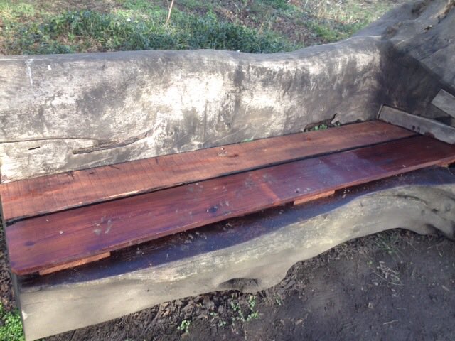 bcoombs3's tweet photo. Spring flowers on Walkley green, and a mended bench. https://t.co/d8OxwbpL6r