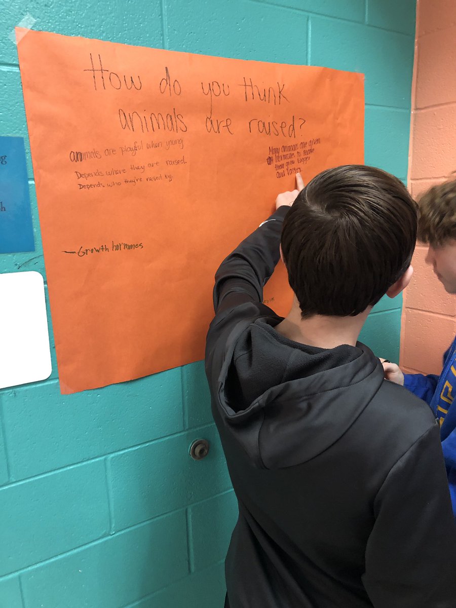 MrsKinmanELA's tweet photo. Starting our Factory Farming and Food waste informational unit in our reading classes! #realworldreading https://t.co/7wlDkCmBBB