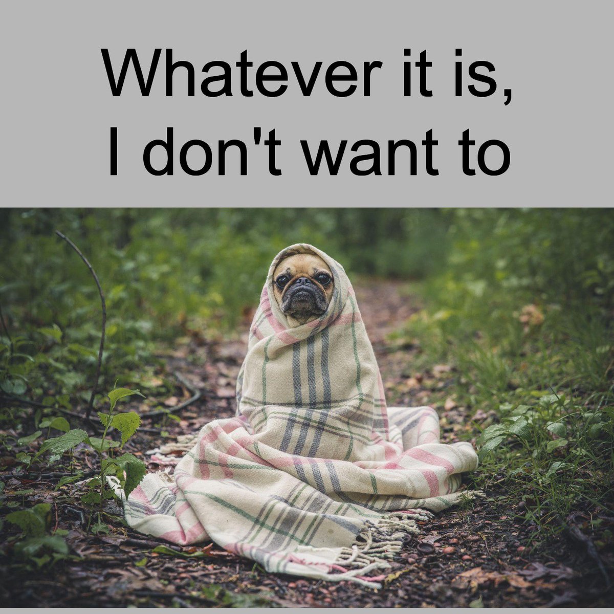 So many ideas for so early in the morning!! Thanks <a href="/JPPrezz/">JP Prezzavento</a> for a great session. #METC19 #lookwhatimade #whatwedo