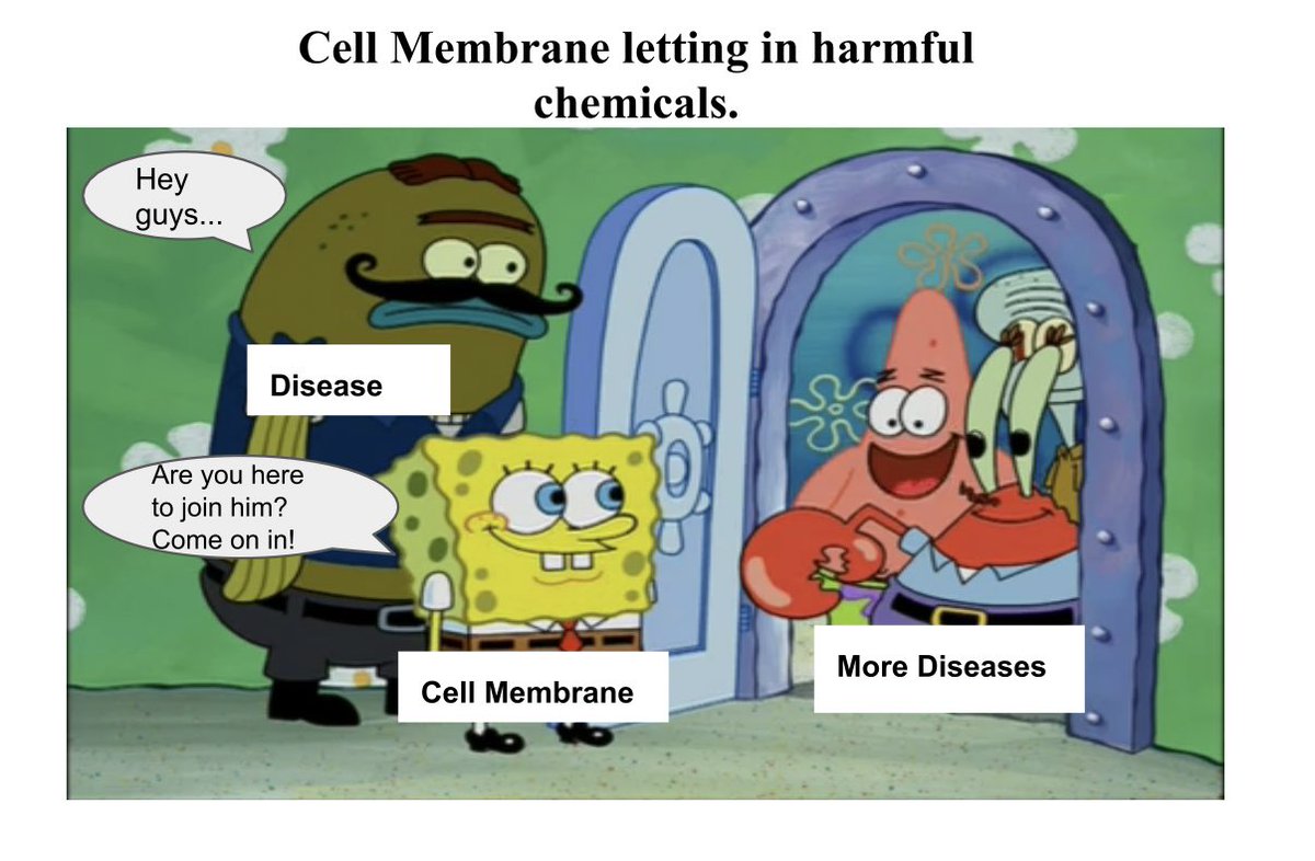 golginator's tweet photo. You protect the cell huh? #cysticfibrosis #youshallpass #cellc2k19 @MsDSacco @Membrain4P https://t.co/scyLNZVL9H