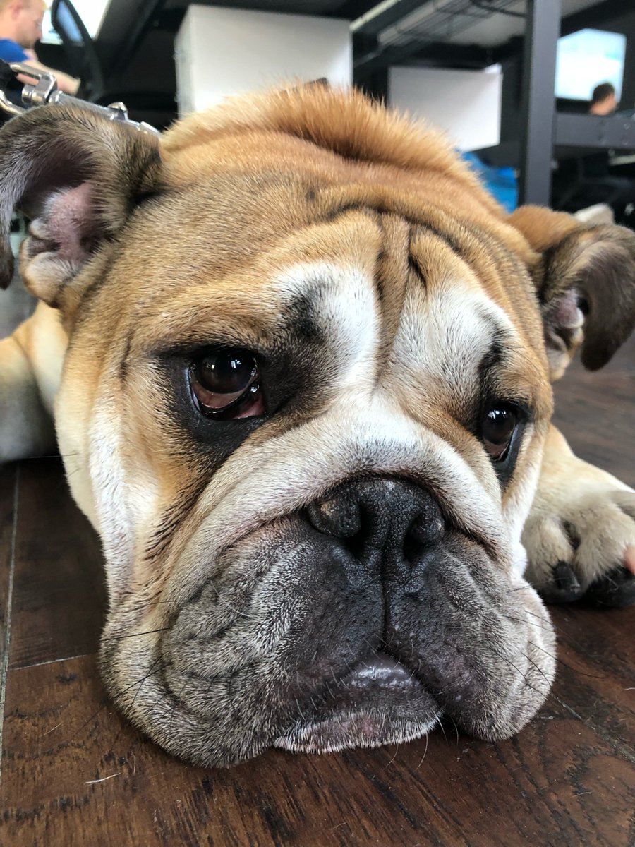 jabba_CEO's tweet photo. can't believe it's only wednesday #humpday https://t.co/N5vuMThkmF
